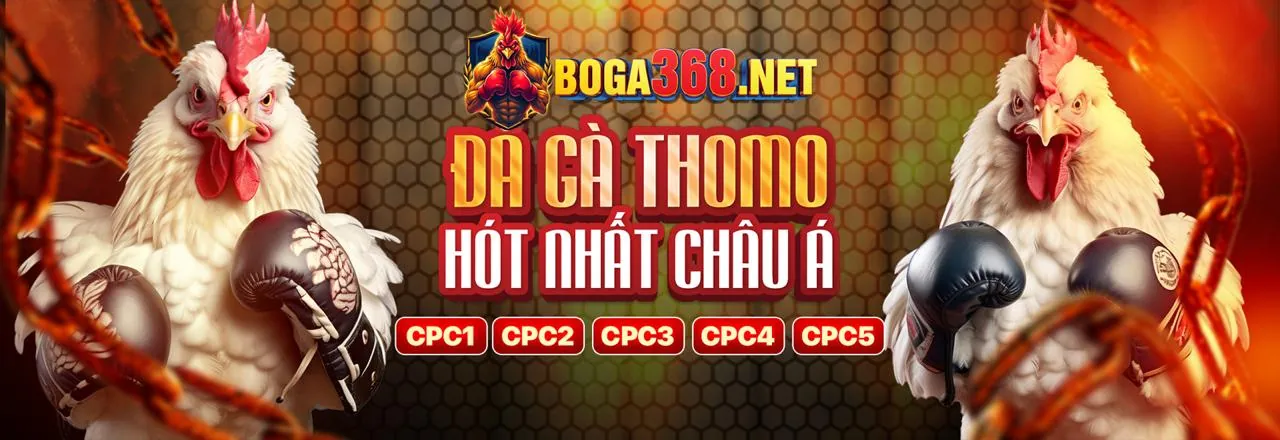Đá gà trực tuyến 6ff3 link vào